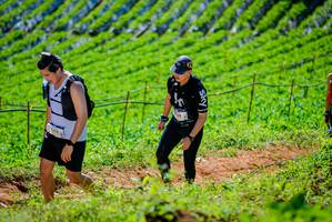 BIB: 
                            <button type="button" onclick="openModal(19163529)" class="btn btn-primary btn-sm float-right btn-popup" data-toggle="modal" data-target=".modal-high-quality">
                        <i class="fas fa-shopping-cart"></i> Add to Cart
                    </button>
                                            <button type="button" onclick="isThisMe(19163529, true)" class="btn btn-success btn-sm float-right btn-popup btn-isme hidden" data-toggle="tooltip" data-placement="bottom" title="นี่คือรูปของคุณใช่ไหม คลิกที่นี่เพื่อเอาเข้าอัลบั้ม">
                        <i class="fas fa-plus"></i> Add to album
                    </button>
                    <button type="button" onclick="isThisMe(19163529, false)" class="btn btn-warning btn-sm float-right btn-popup btn-isnotme hidden">
                        <i class="fas fa-ban"></i> Remove from album
                    </button>